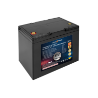 Аккумулятор LogicPower Lifepo4 12V-100Ah (BMS 50A/25А) пластик для ИБП